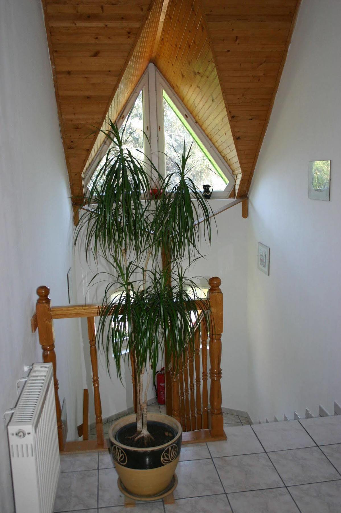 Lorelei Pension Adults Only Gyenesdiás Exterior foto