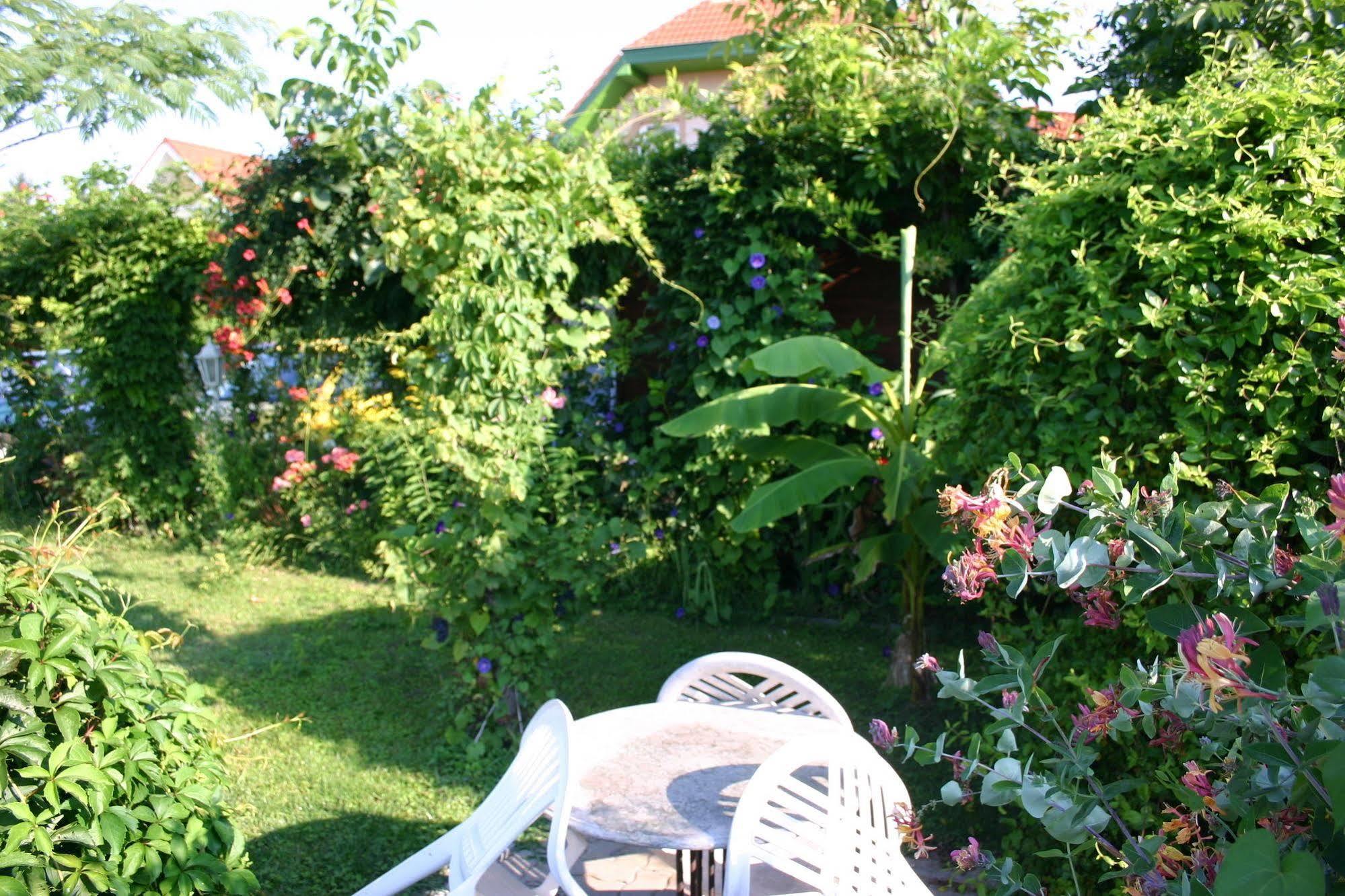 Lorelei Pension Adults Only Gyenesdiás Exterior foto